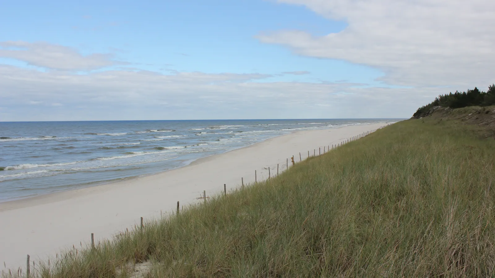 Spokojna plaża w Białogórze z szerokim piaskiem, wydmami i linią morza.
