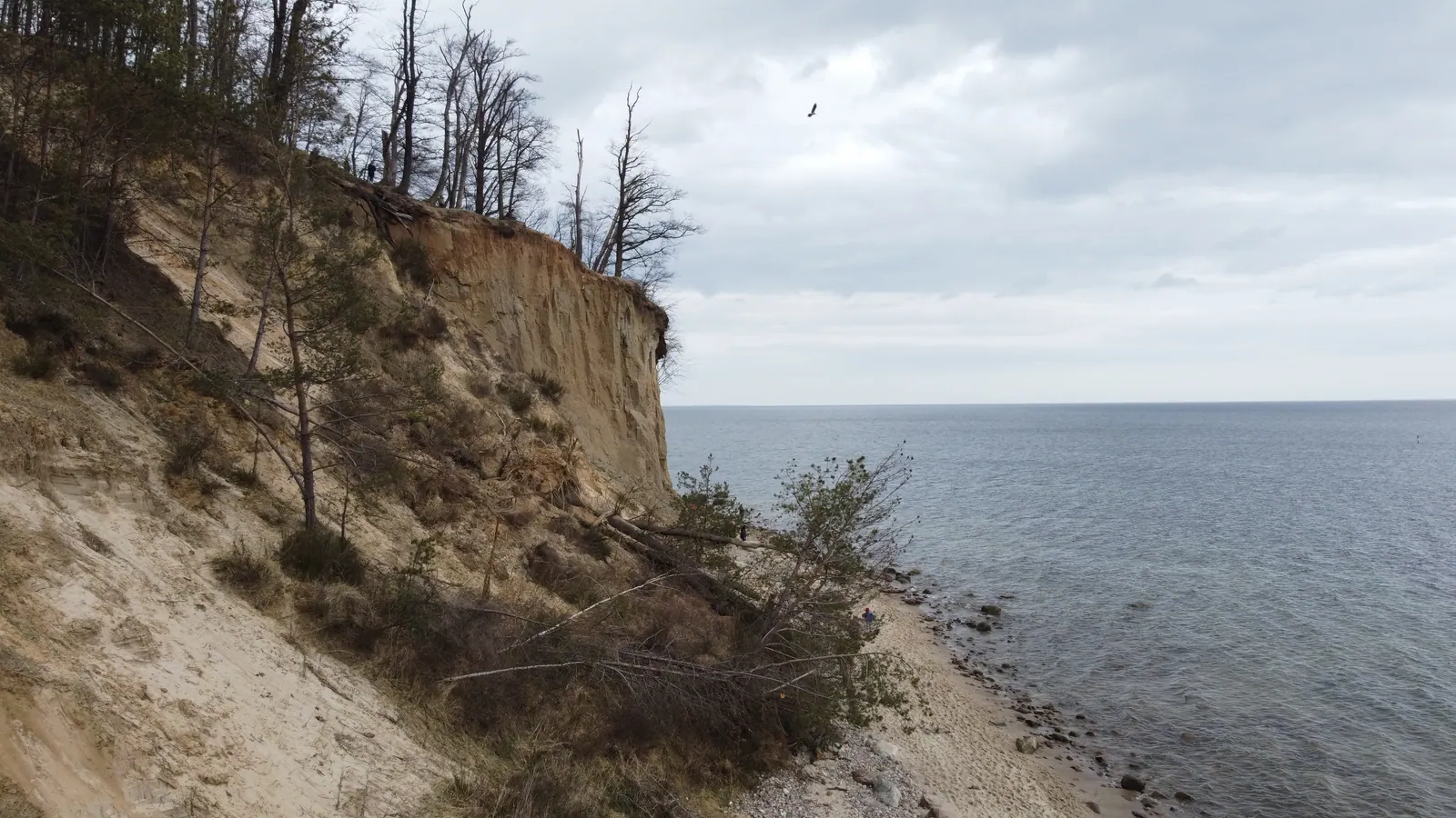 Klif Orłowski nad Zatoką Gdańską widziany od strony plaży i mola.